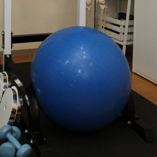 フィットネスボール